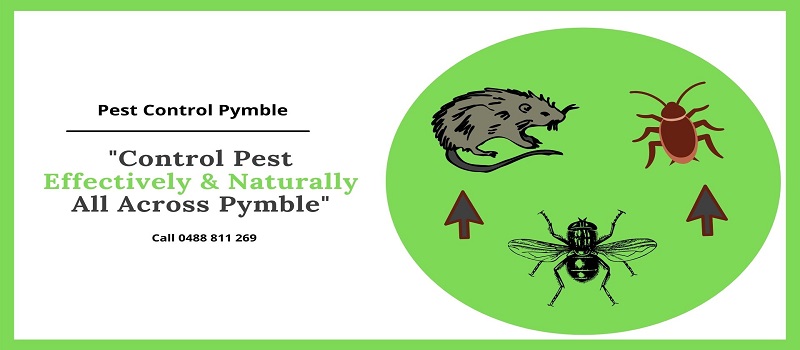 Pest Control Pymble With Natural Pesticides